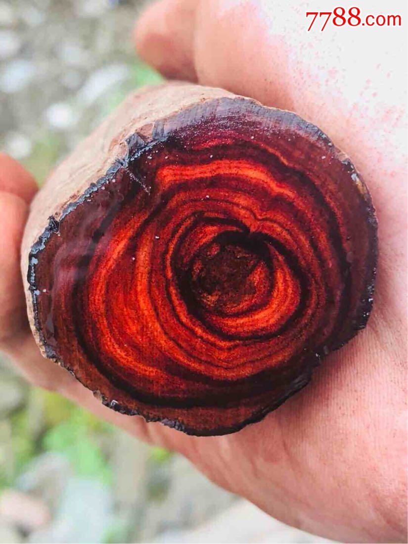 海南黄花梨木头一根,900多克,紫油梨,包真