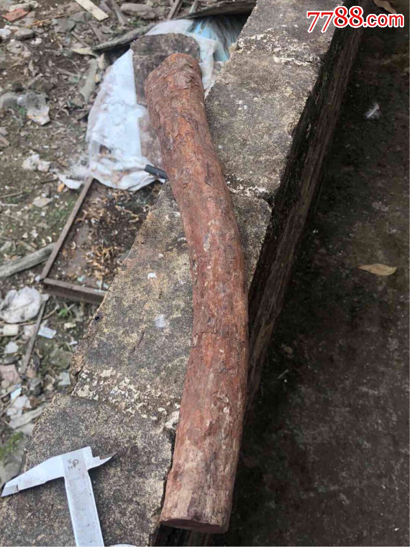 海南黄花梨木头一根,900多克,紫油梨,包真