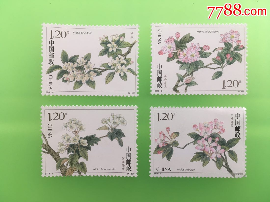 海棠花_新中国邮票_第1张_7788集邮网