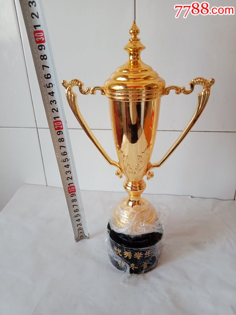 优秀学生奖杯