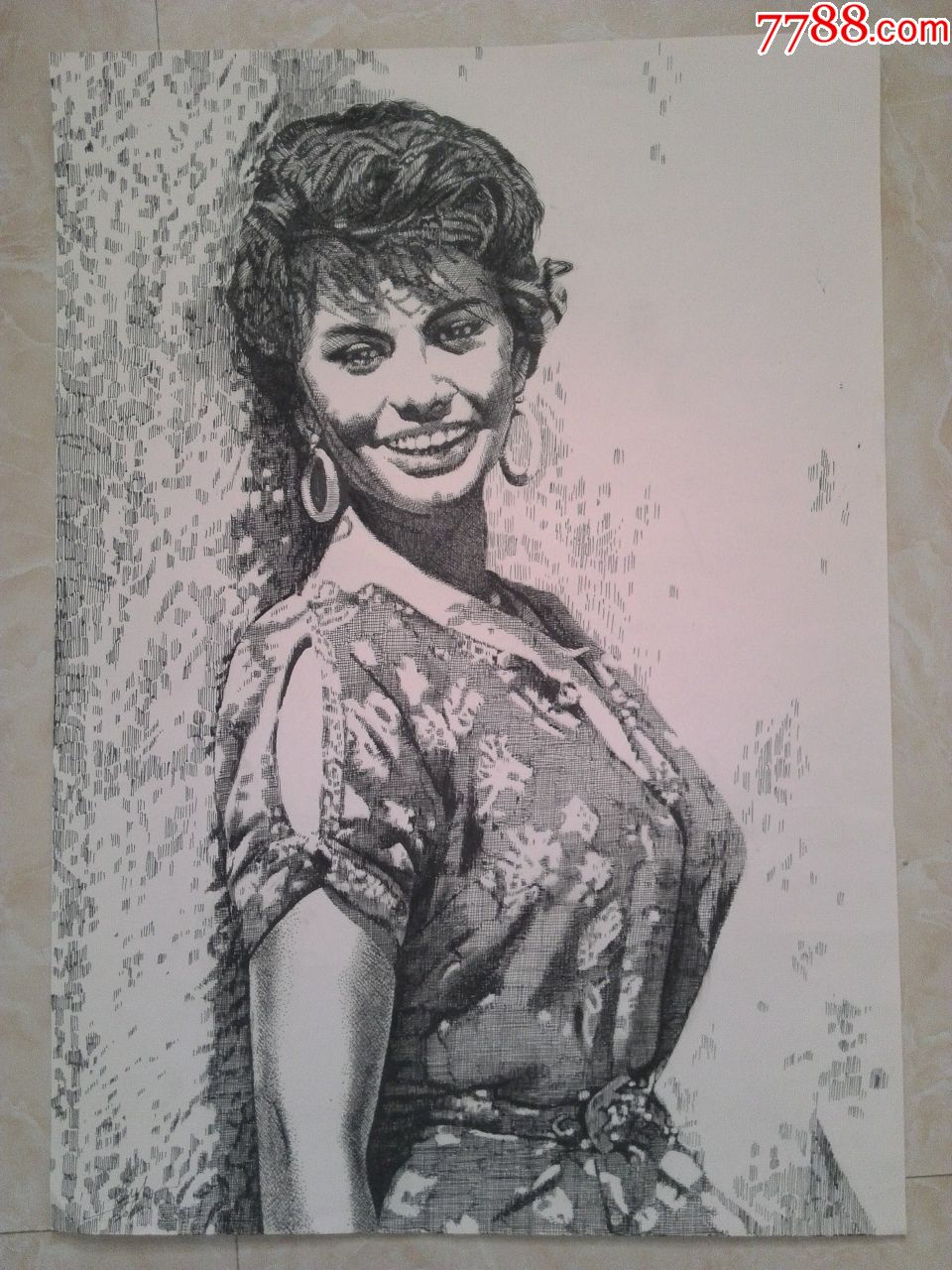 影星索菲亚.罗兰_素描/速写【玩藏小店】_第1张_7788老玩具收藏