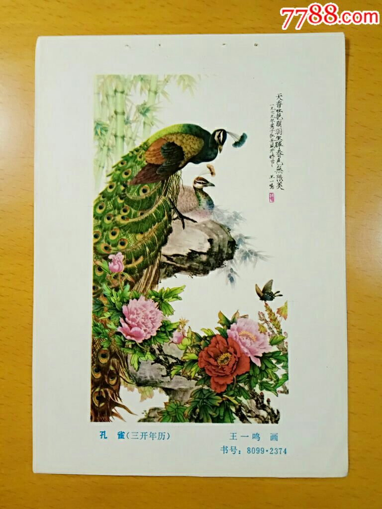 孔雀--王一鸣作