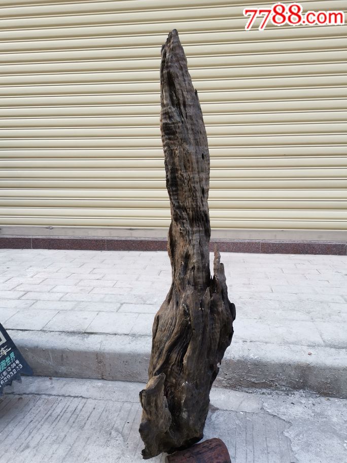 天然阴沉木摆件