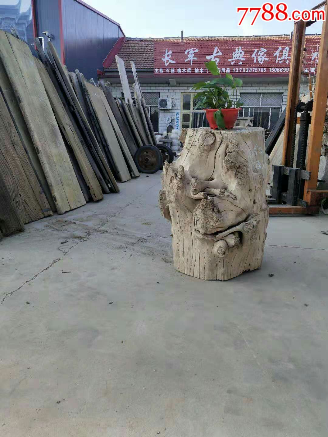 百年老榆木树根造型独特,可放在酒店,茶楼农家院佳品-其他根雕/木雕