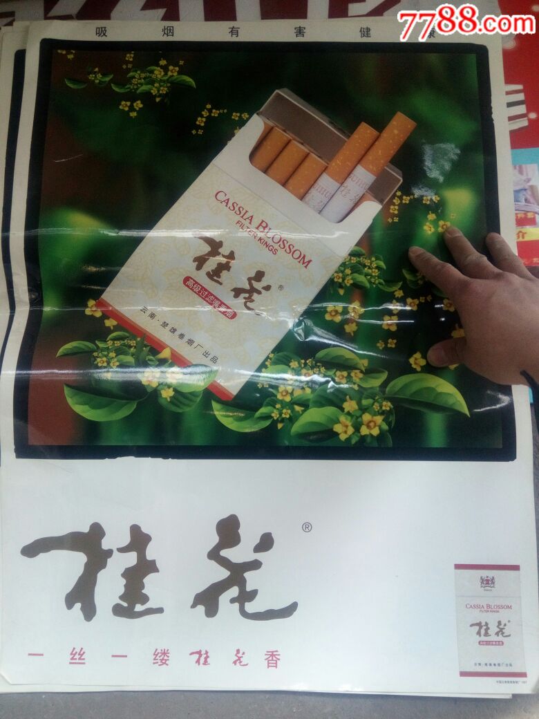 桂林香烟图片