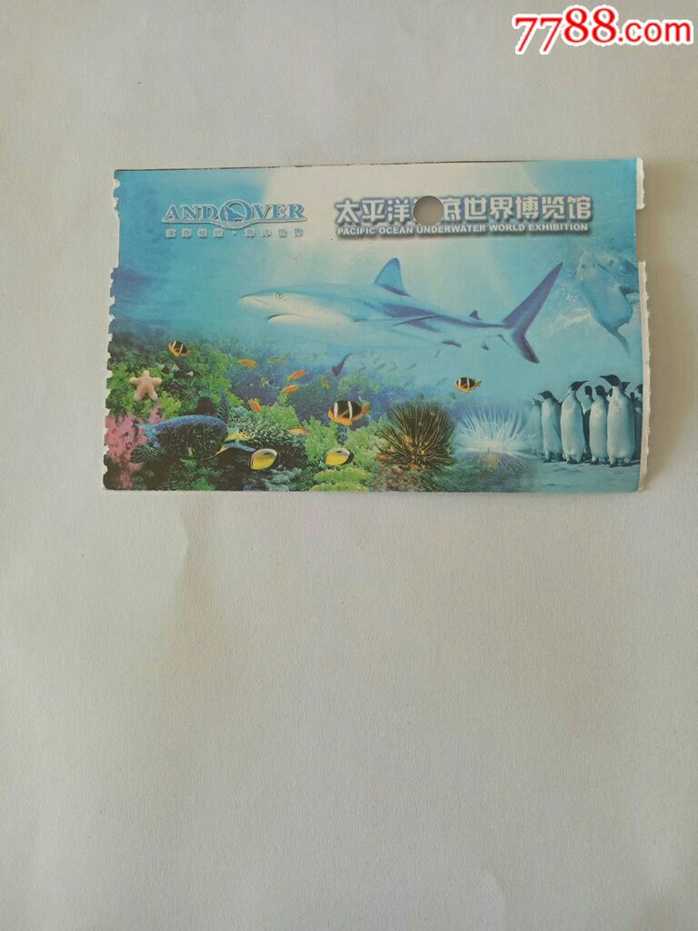 太平洋海底世界_旅游景点门票_蓝色忘忧草【7788收藏__收藏热线】