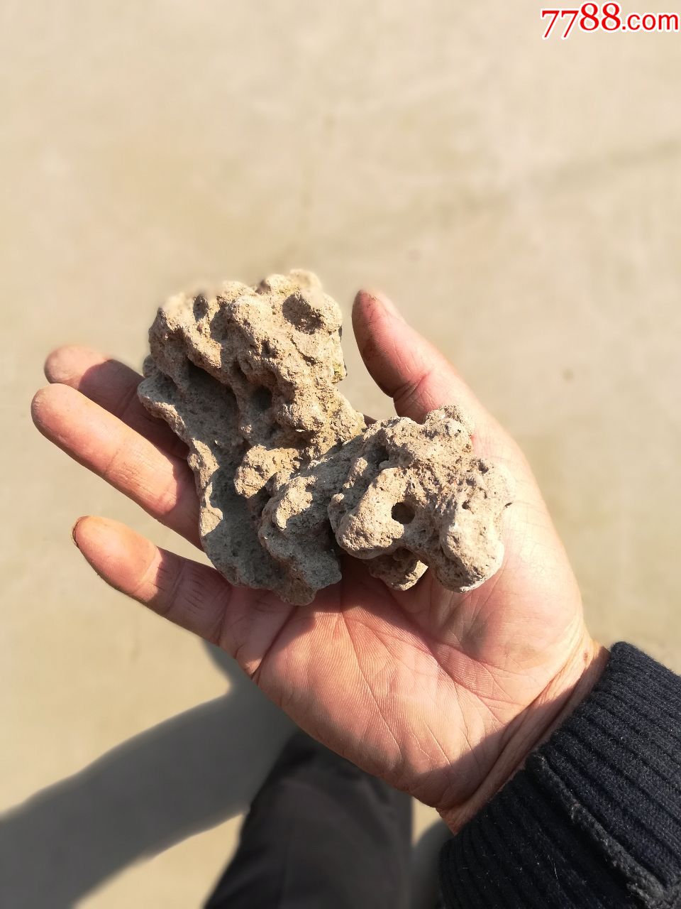 奇石;料浇石头原石"动物狮子"13厘米*8厘米*6厘米_其他石器_同行交流