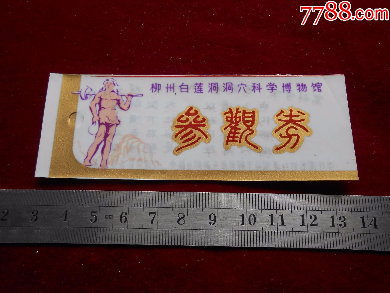 柳州白莲洞穴科学博物馆