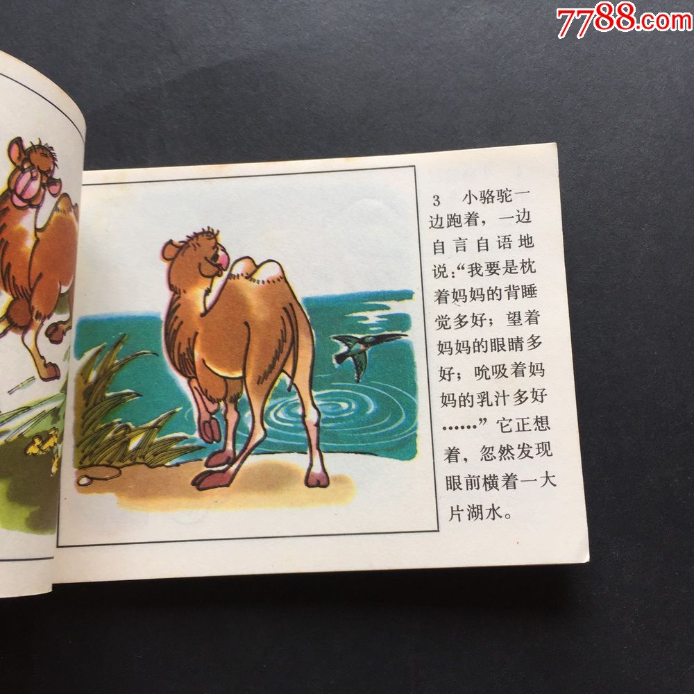 中国动物故事(六)-5008_连环画/小人书【天堂连藏】_第5张_7788小人书