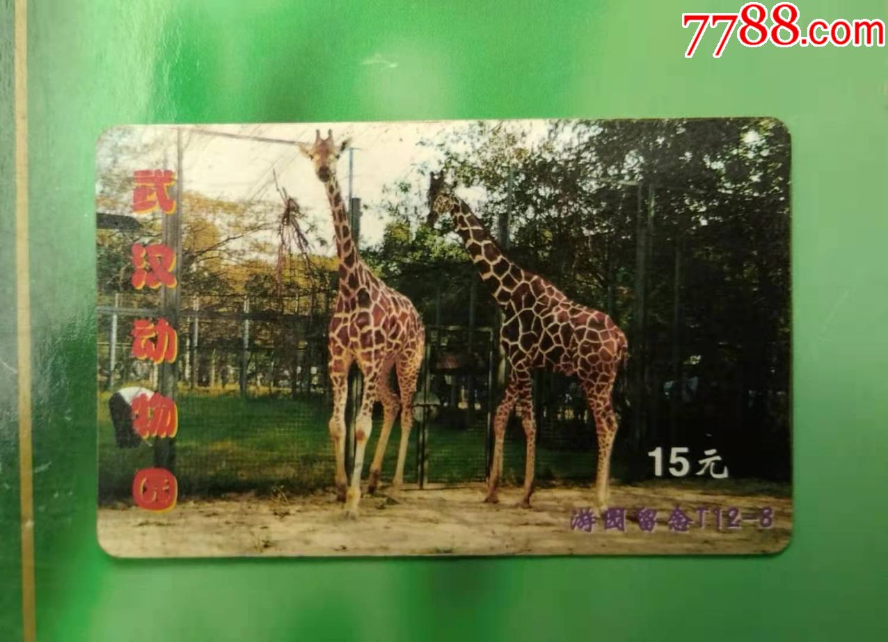 武汉动物园门票卡