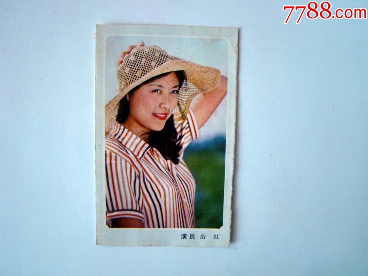 歌词纸----演员岳虹