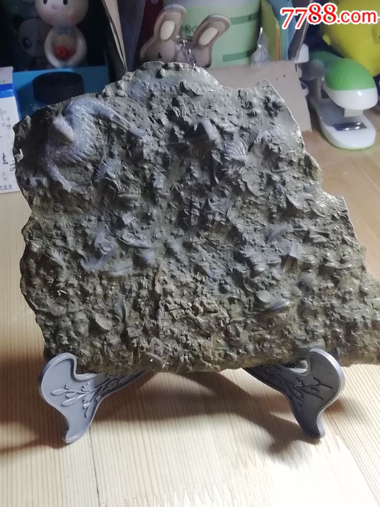燕子石(三叶虫化石)原石