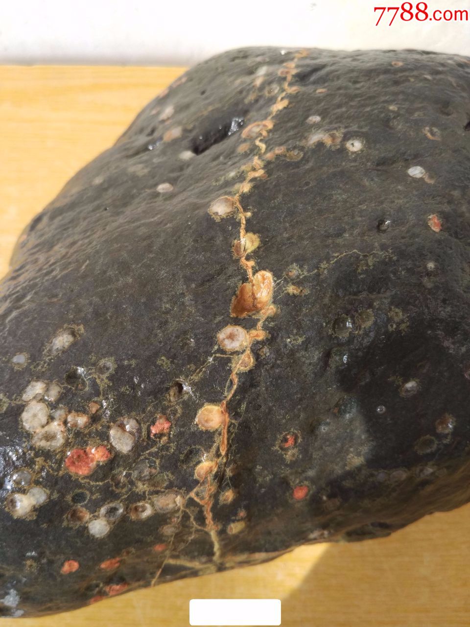 洛阳精品梅花石原石"相爱一生"(一枝梅花缠绵石头完整一圈)