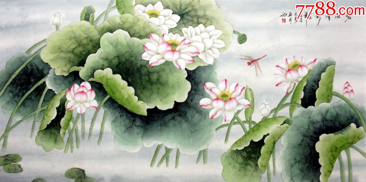 荷花价格表2023
