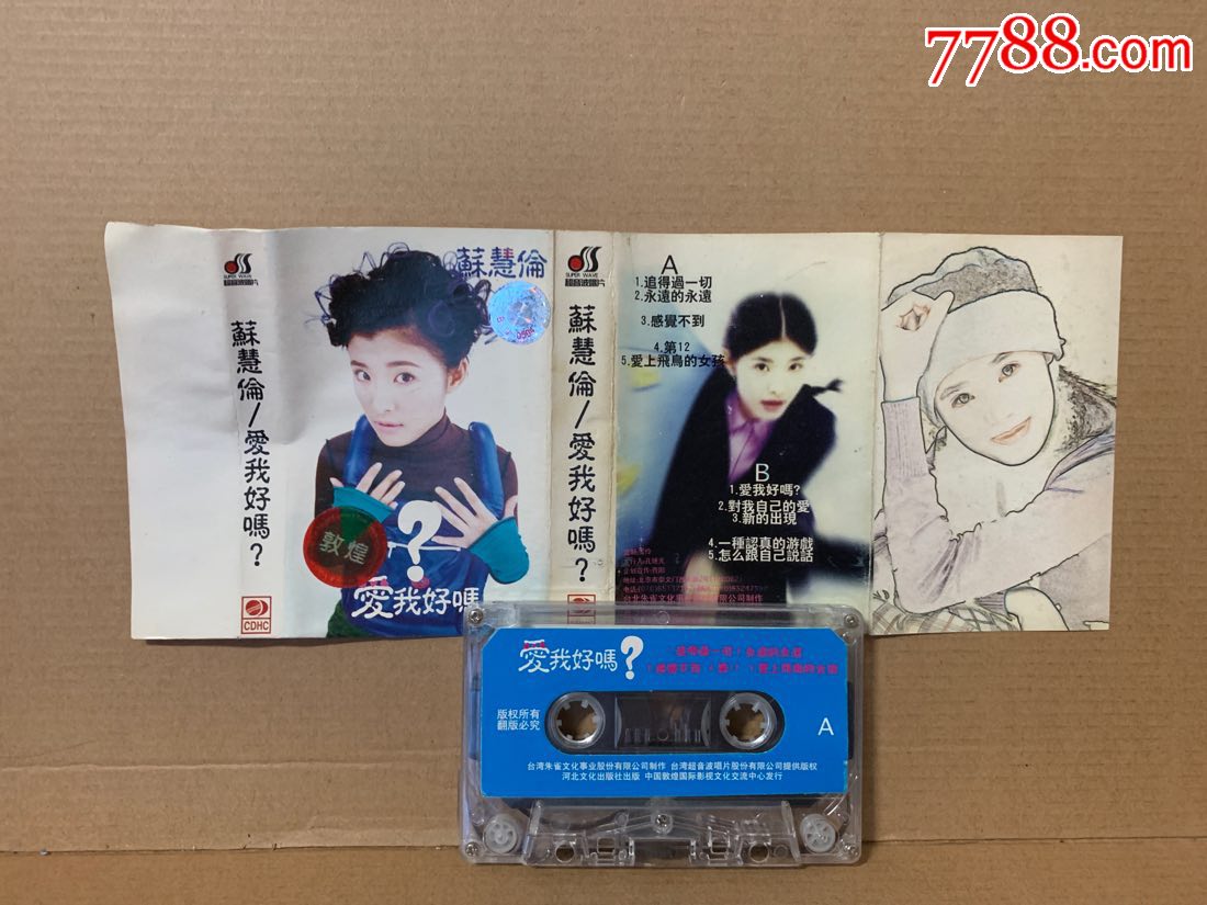 苏慧伦爱我好吗