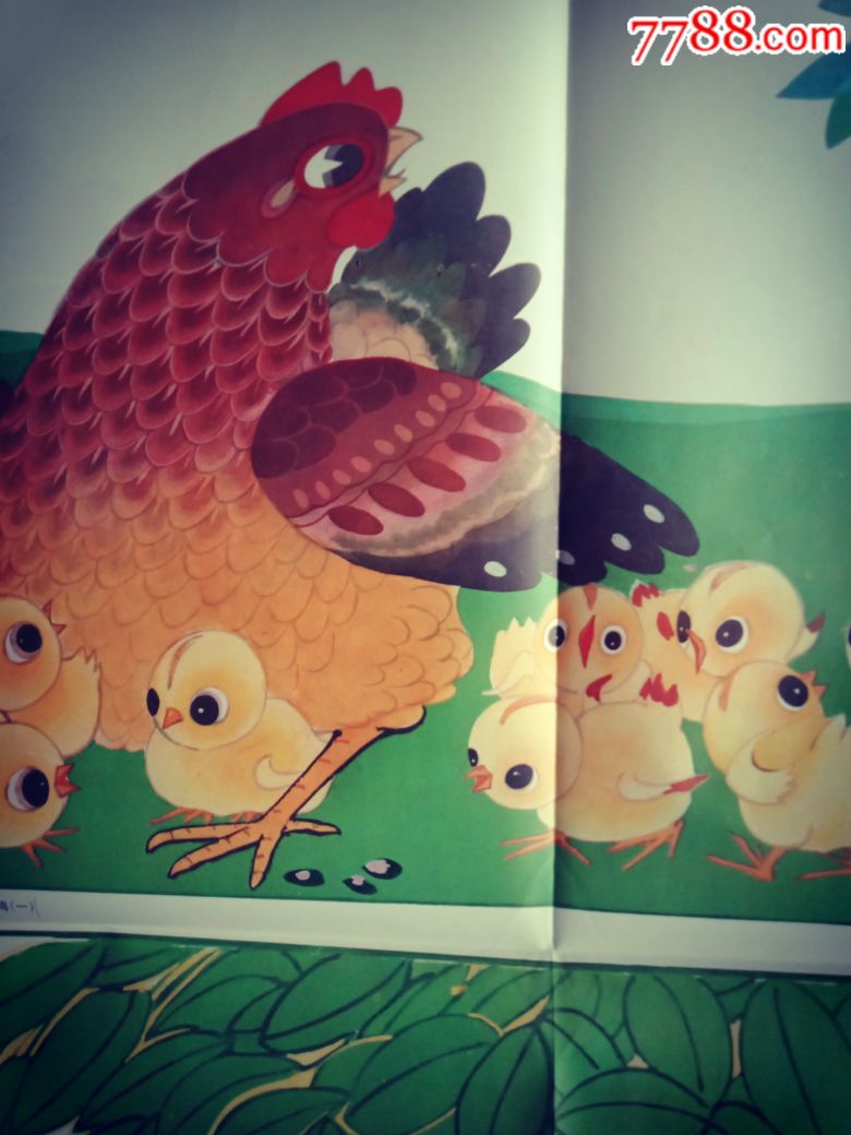 离群的小鸡(2张)