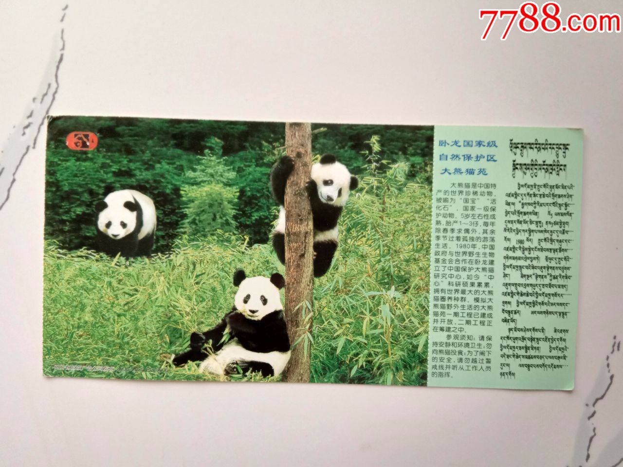 卧龙自然保护区大熊猫苑邮资门票