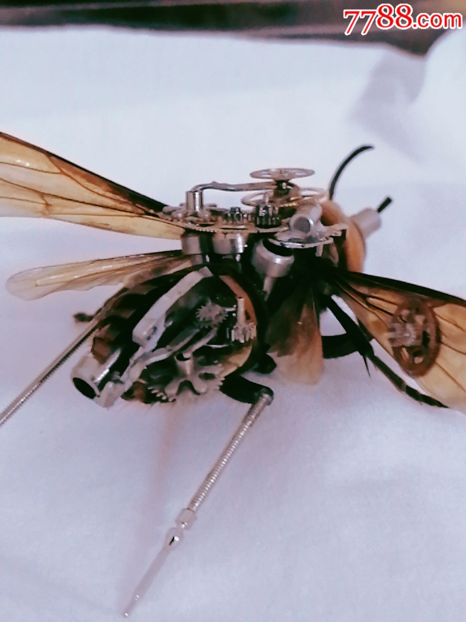 机械大黄蜂,,,蝴蝶/昆虫标本,其他昆虫标本,年代不详,se65318064