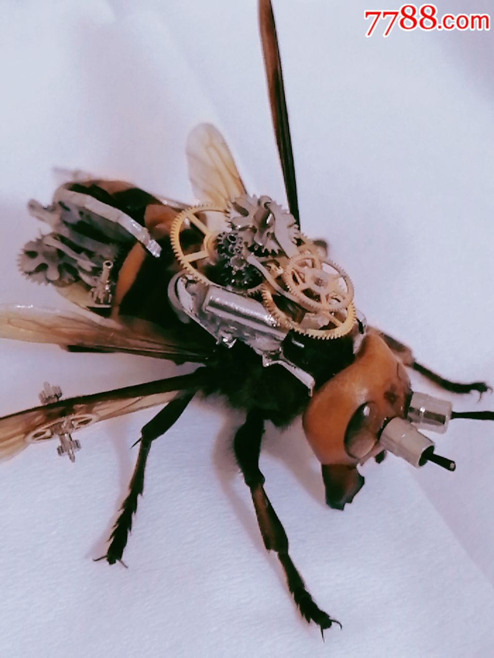 机械大黄蜂,,,蝴蝶/昆虫标本,其他昆虫标本,年代不详,se65318064