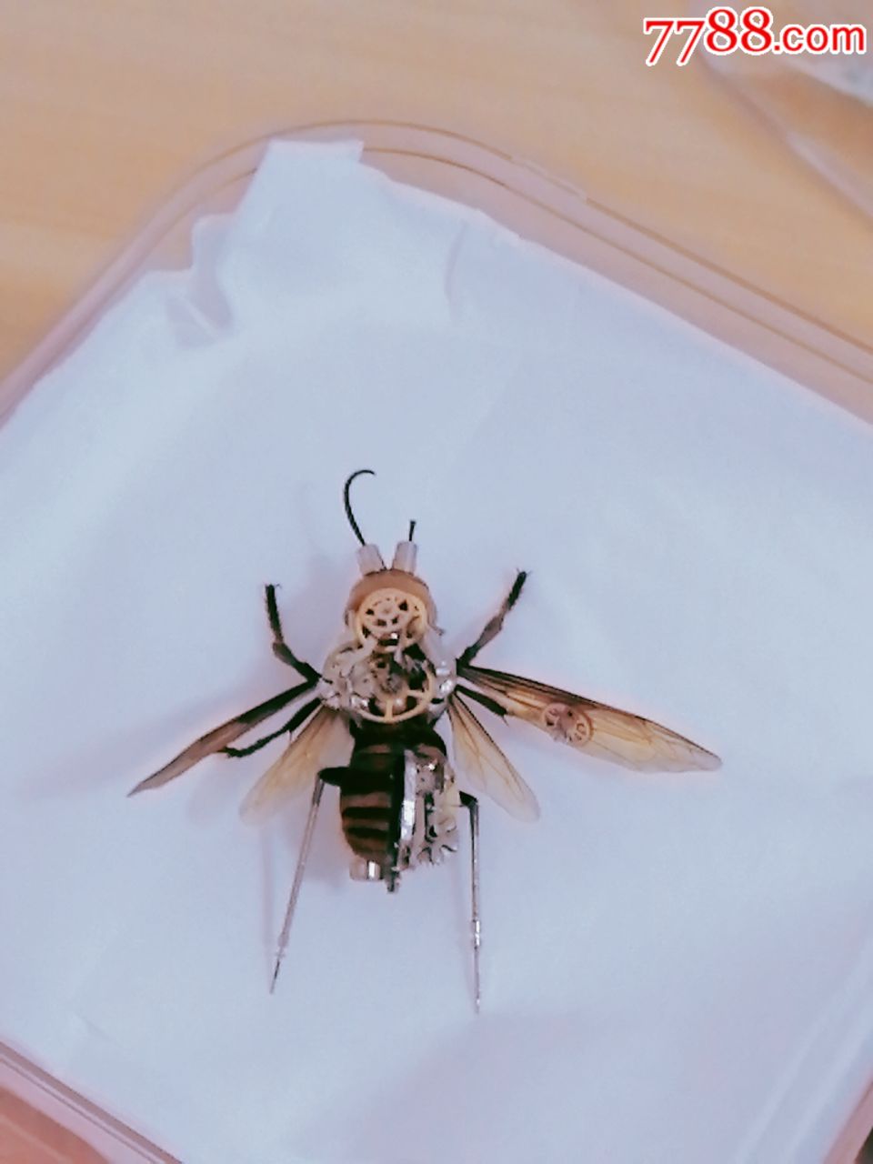 机械大黄蜂,,,蝴蝶/昆虫标本,其他昆虫标本,年代不详,se65318064