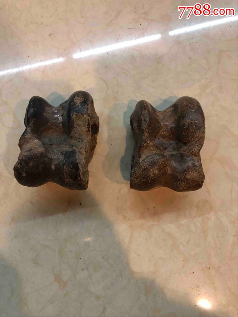 猛犸象嘎拉哈化石一对