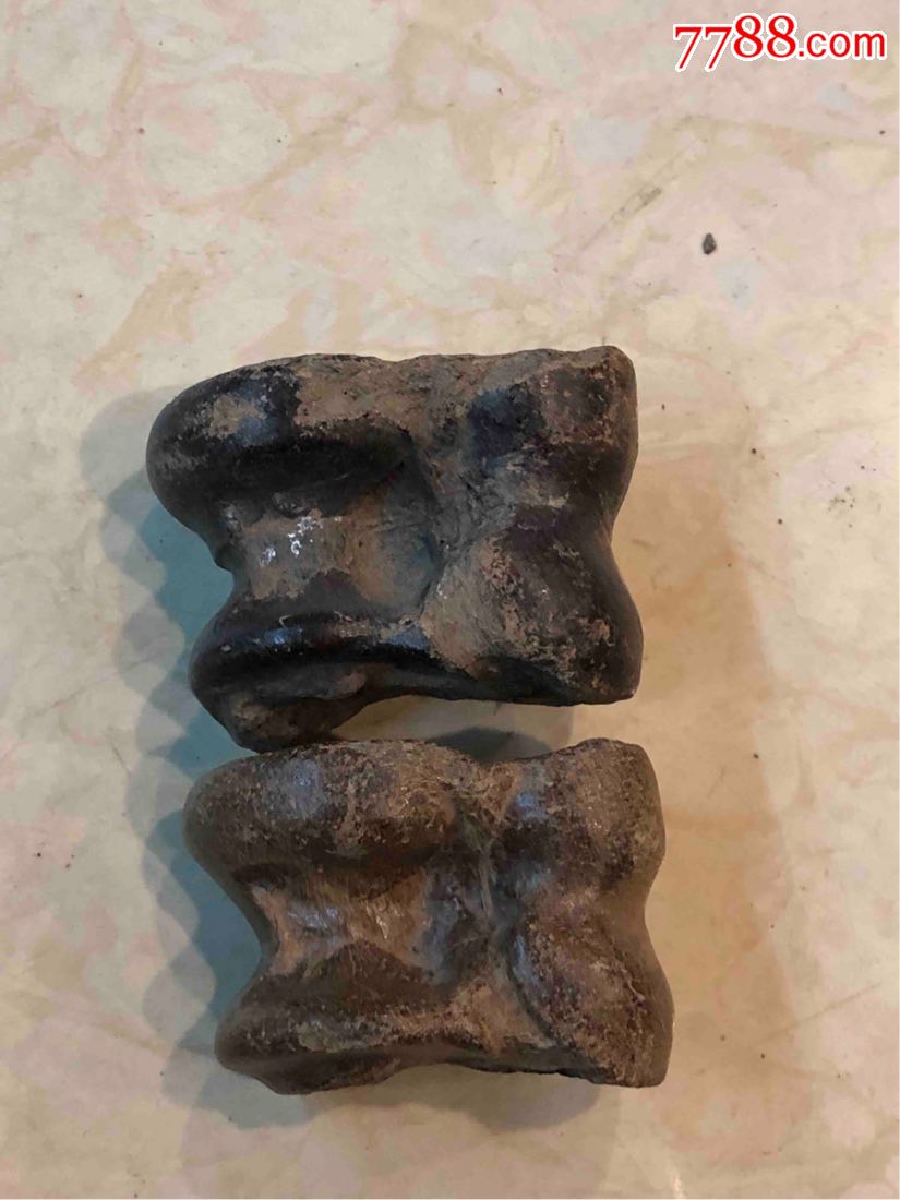 猛犸象嘎拉哈化石一对