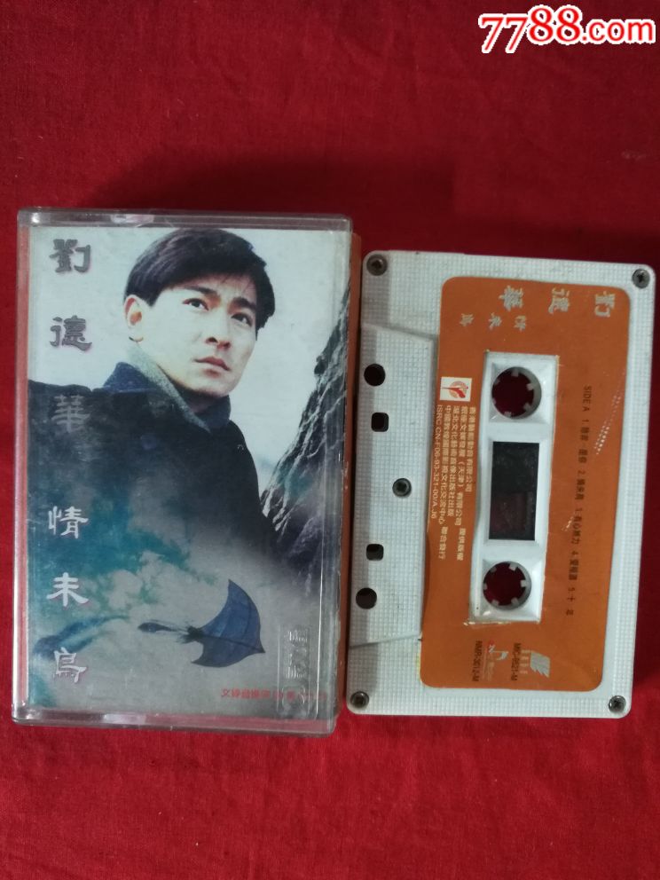 刘德华情未鸟