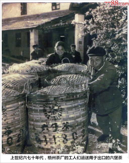 ����������ʮ��������ݲ賧�Ĺ������������ڳ��ڵ�������(se65351451)_