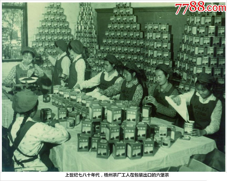 �������߰�ʮ��������ݲ賧�����ڰ�װ���ڵ�������(se65351463)_