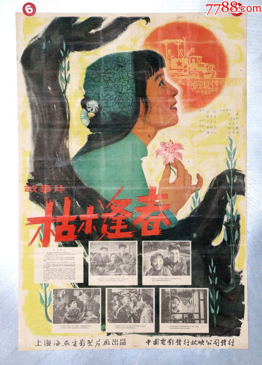 枯木逢春,电影海报_第1张_7788电影海报