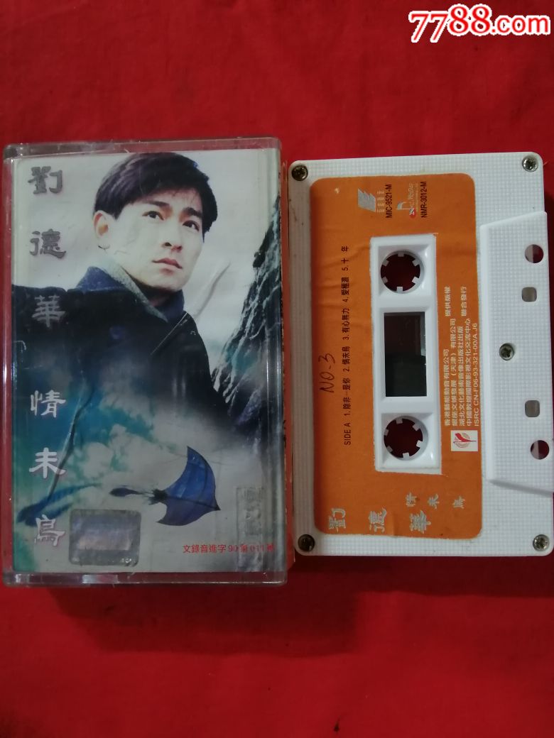 刘德华《情未鸟》