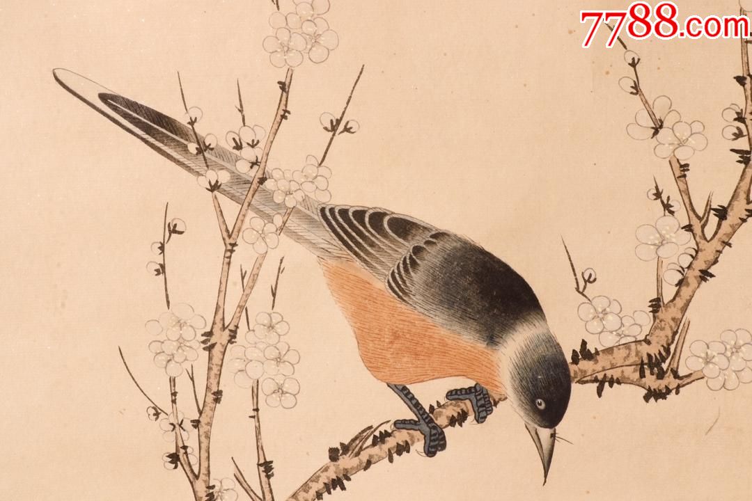 "于非暗"花鸟图立轴