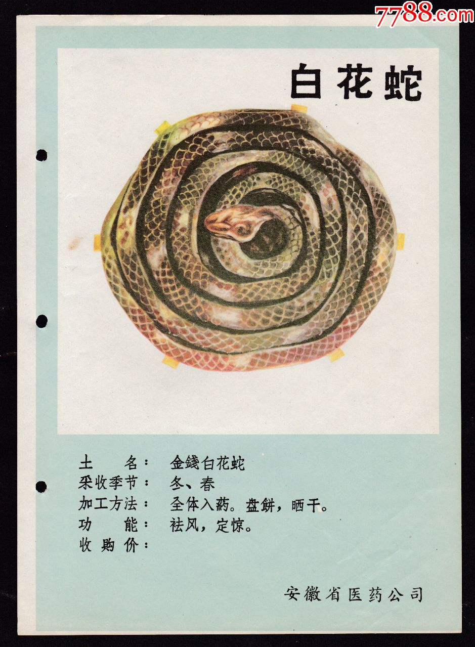 白花蛇中药材广告