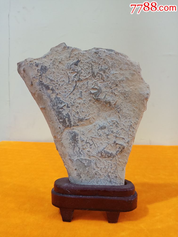 燕子石三叶虫化石