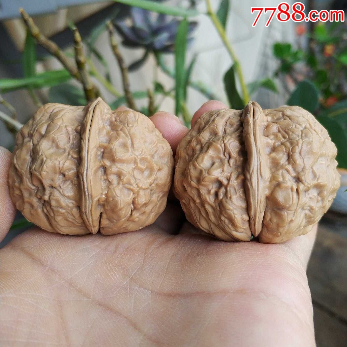 金蟾疙瘩包铁核桃文玩核桃云南老铁