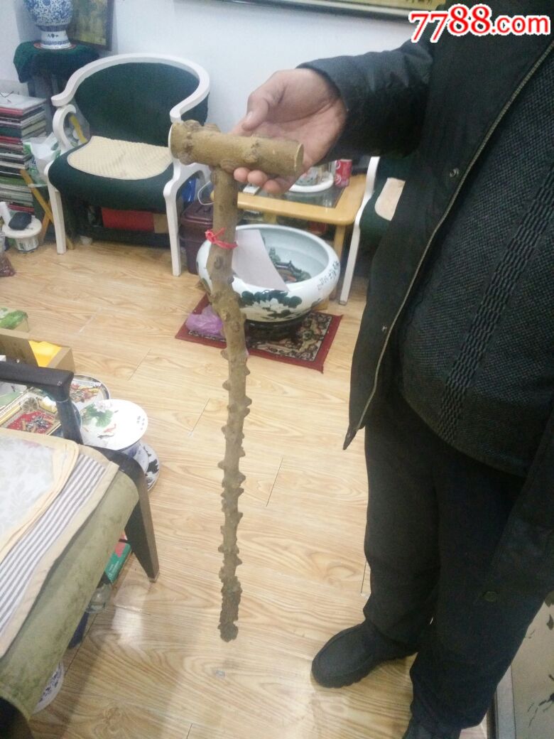 花椒树拐杖一个