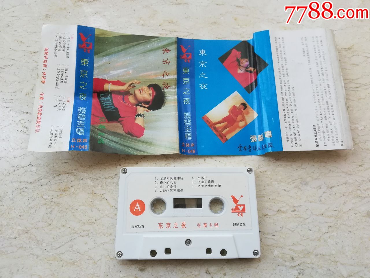 东京之夜----张蔷