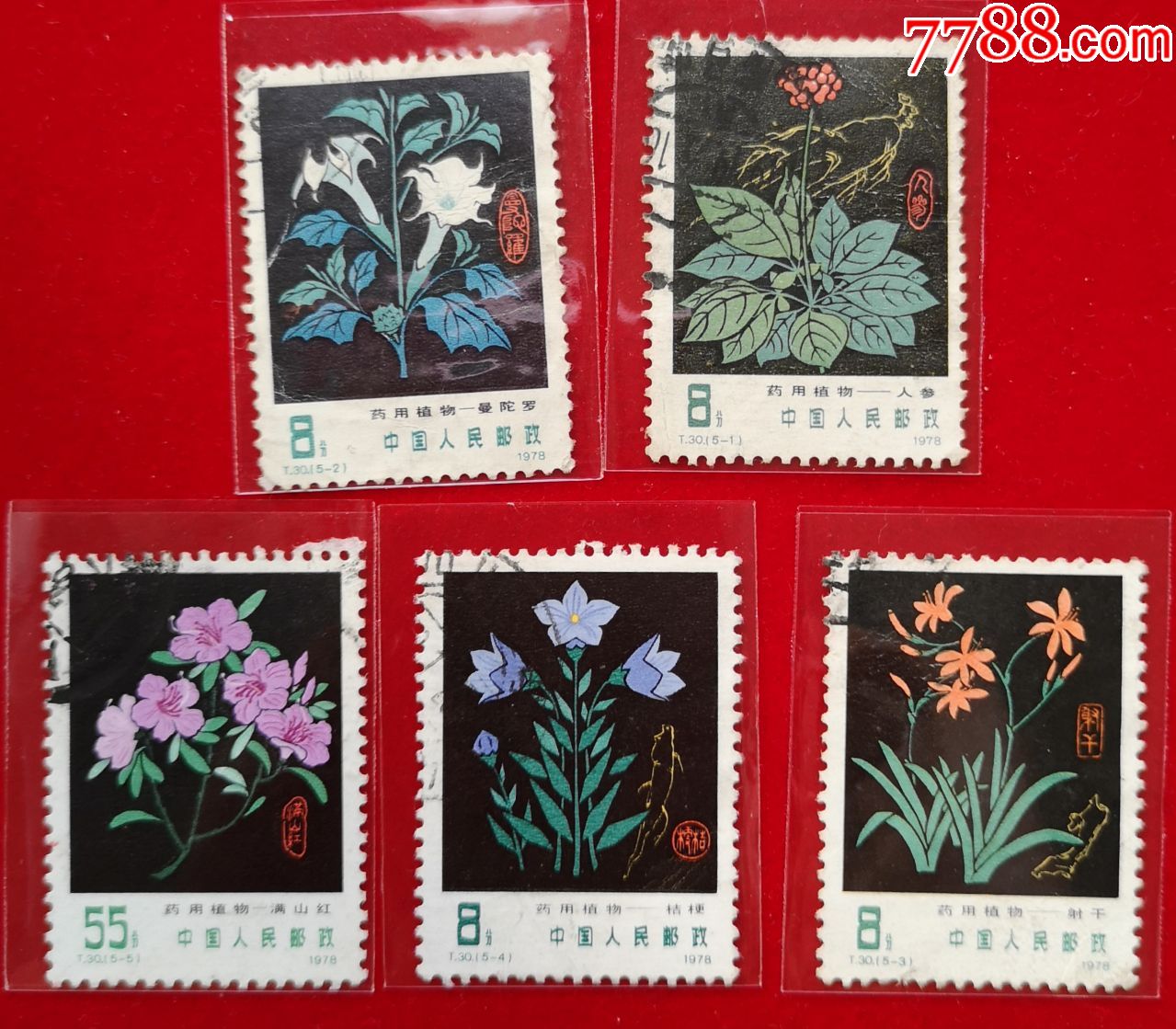 t30药用植物_新中国邮票_第1张_7788集邮网