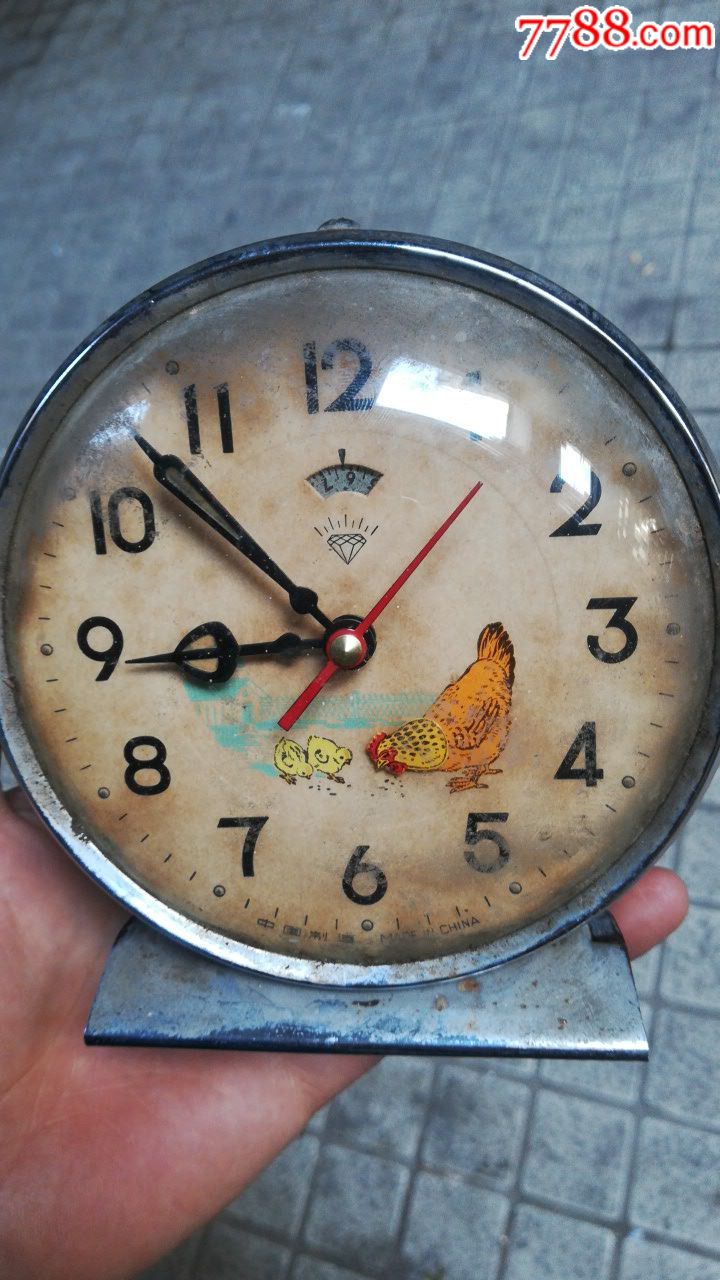 母鸡带小鸡闹钟