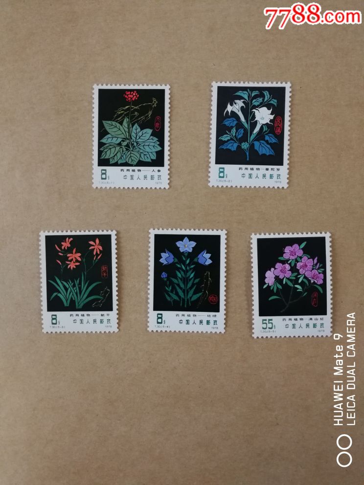 t30药用植物_新中国邮票_第1张_7788集邮网