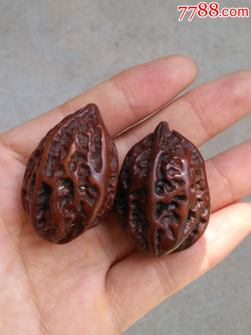 0次进行点评点评:0浏览量:备注:古玩老把件-老核桃手串一对【那个年代