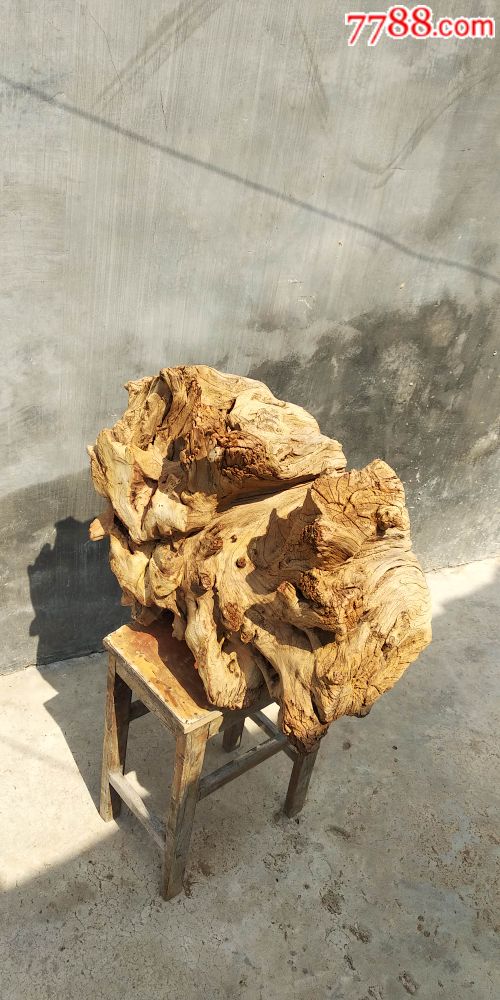 千年柏木墩树根树头自然风化皮壳老道