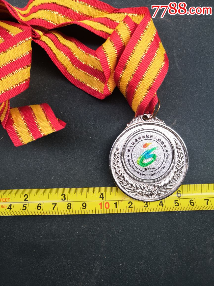 纪念章六届海南残疾人运动会银牌
