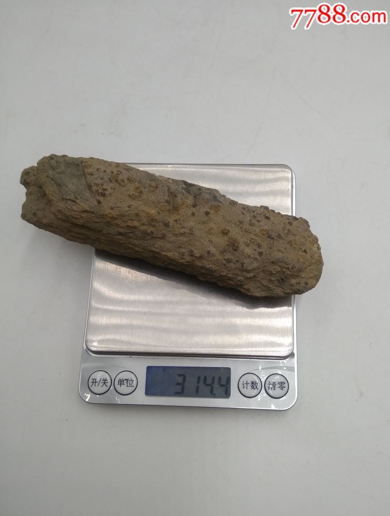 广东球粒石陨石,火流星残存核星星