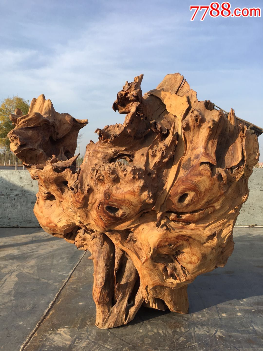 精品香樟木摆件,可以做佛龛,自然形成风化纹理优美,形状漂亮