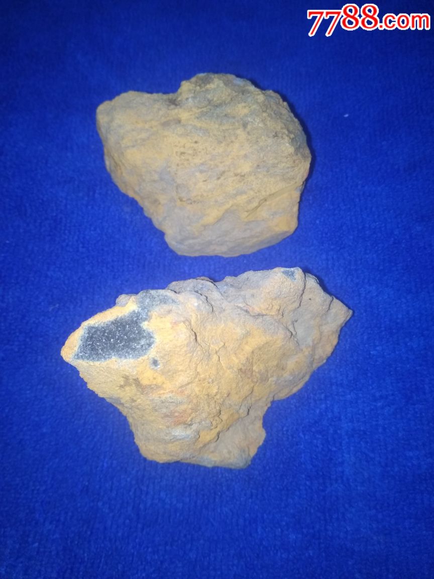 未知星球石陨石,疑似火星与木星卫星陨石
