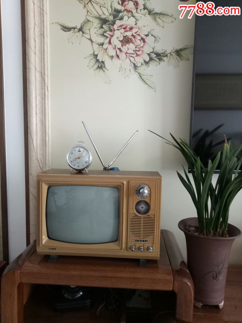 精品友谊12寸木壳黑白电视机