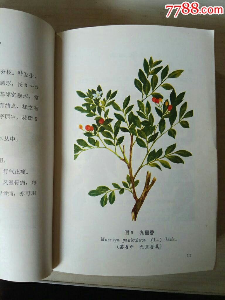 云南中草药选彩色版