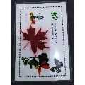 P11一生肖枫叶树叶画(se66767111)_7788收藏__收藏热线