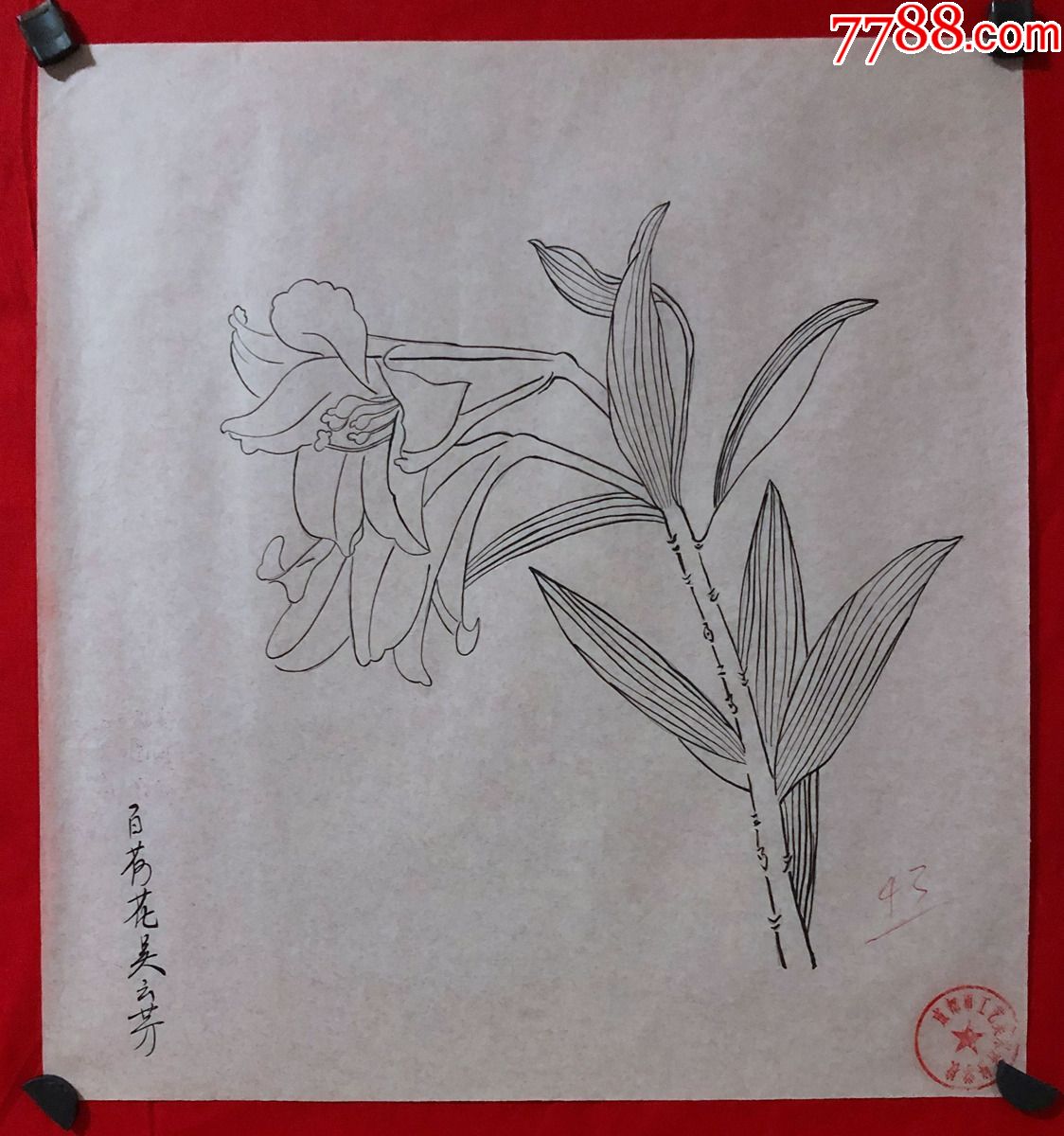 书画原作209080年代工笔白描花鸟画吴云芳百合花
